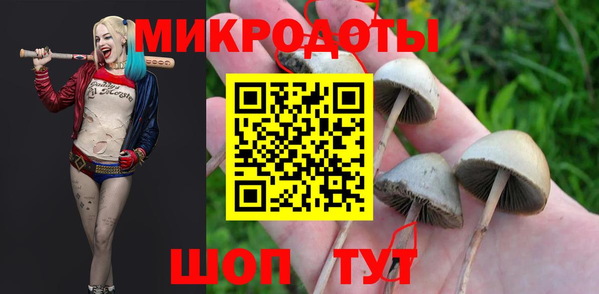 Галлюциногенные грибы мицелий Брянск