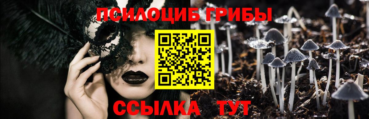 Галлюциногенные грибы ЛСД  Вход с VPN  Брянск  Галлюциногенные грибы мицелий 